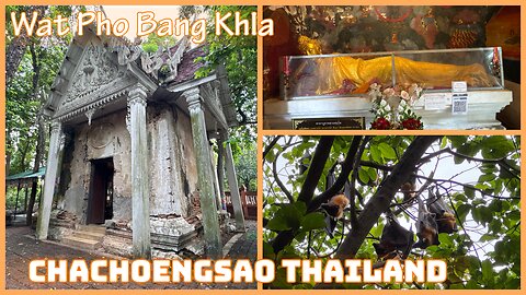 The Flying Fox Temple of Wat Pho Bang Khla: Thailand’s Hidden Wonder