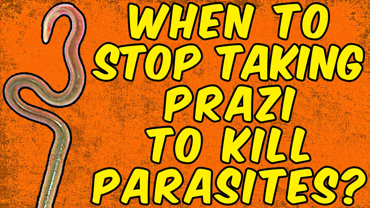 When Should You Stop Taking Praziquantel To KILL PARASITES?