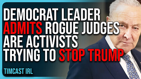 Democrat Leader ADMITS Rogue Judges Are ACTIVISTS Trying To STOP TRUMP