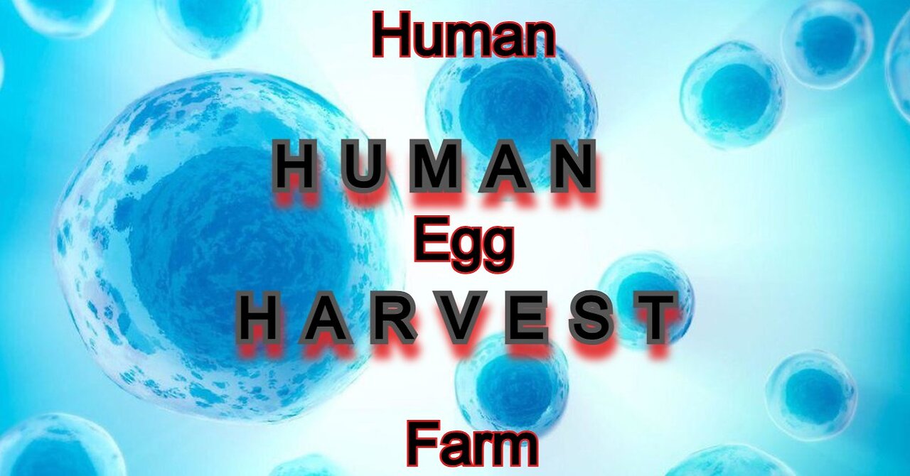 Human Egg Farm