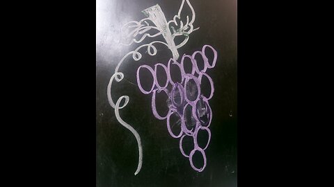 grapes drawing