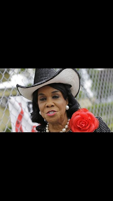Roadside Distraction: Frederica Wilson Does Bizarre Rant In Wooded Area Near Highway As Cars Zip By