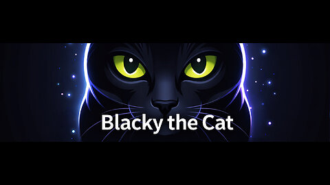 Blacky The Cat Video Collection