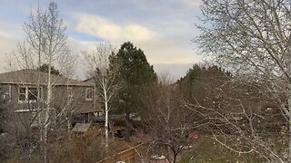 Just hanging out outside