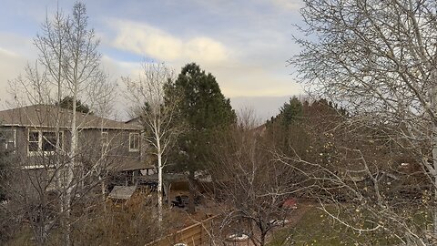 Just hanging out outside