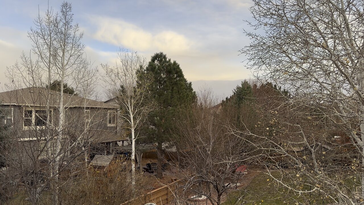 Just hanging out outside