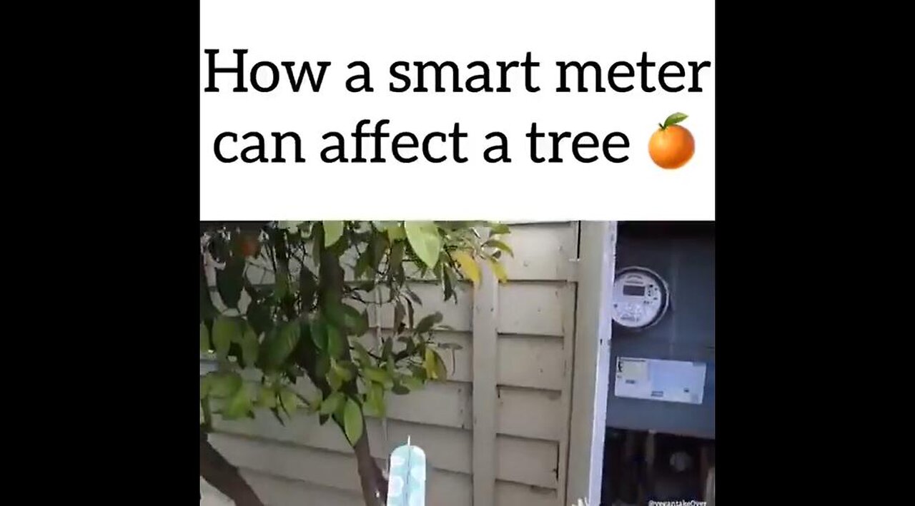 WARNING: How a Smart Meter Affects a Tree [What does it do to humans?]