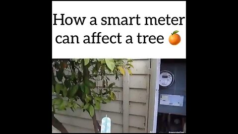 WARNING: How a Smart Meter Affects a Tree [What does it do to humans?]