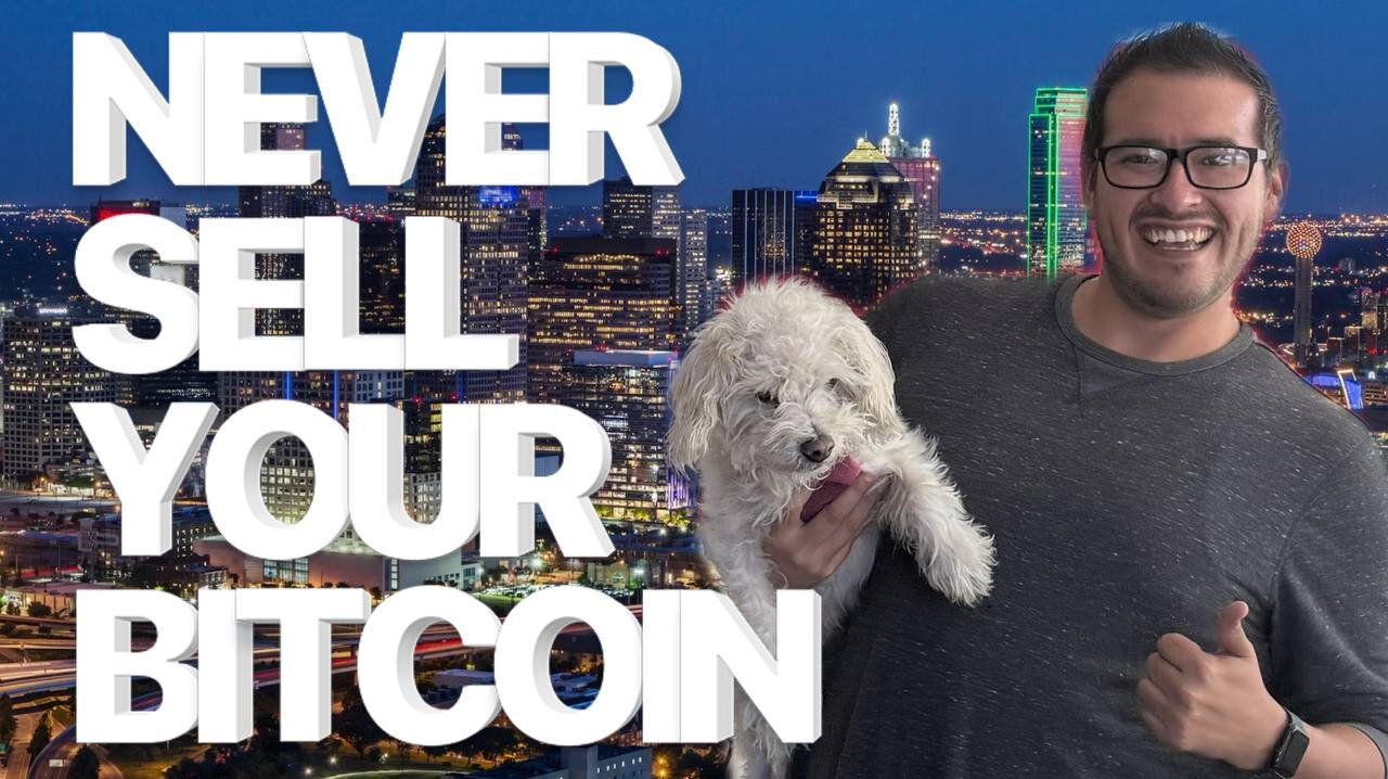 TOLD YOU! GERMANY PLANNING TO BUY BACK BITCOIN!