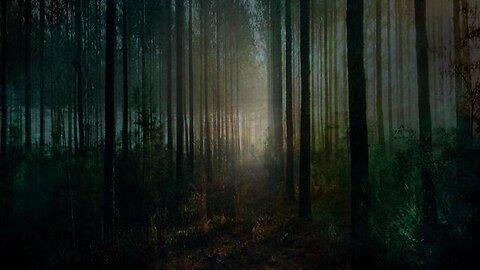"2024 Alien Abductions: Millions Reportedly Taken from Earth - Is it True?"