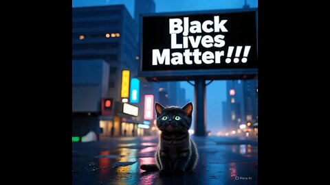 Cute Cat Gif