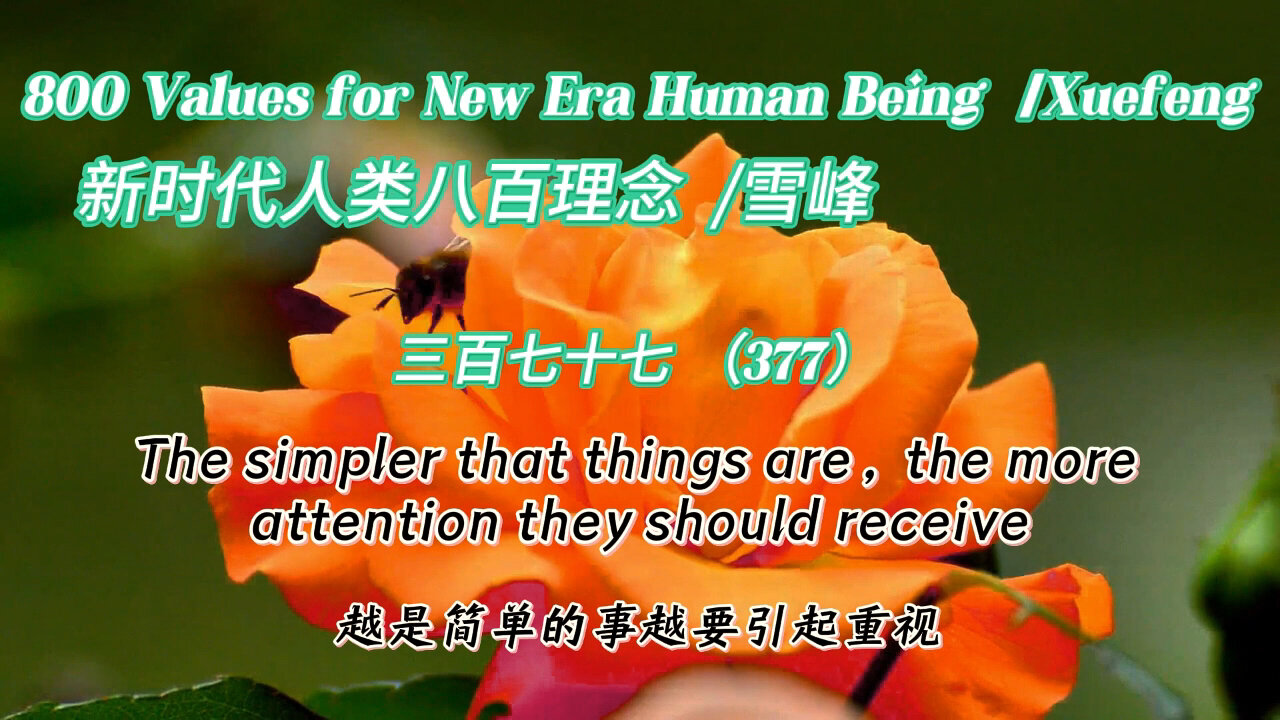 800 Values for New Era Human Being（377）
