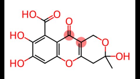 Fulvic Acid Market Size, Share, Trend & Industry Growth 2034