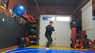 WTD Rear Side Kick to Lotus Kick sequential