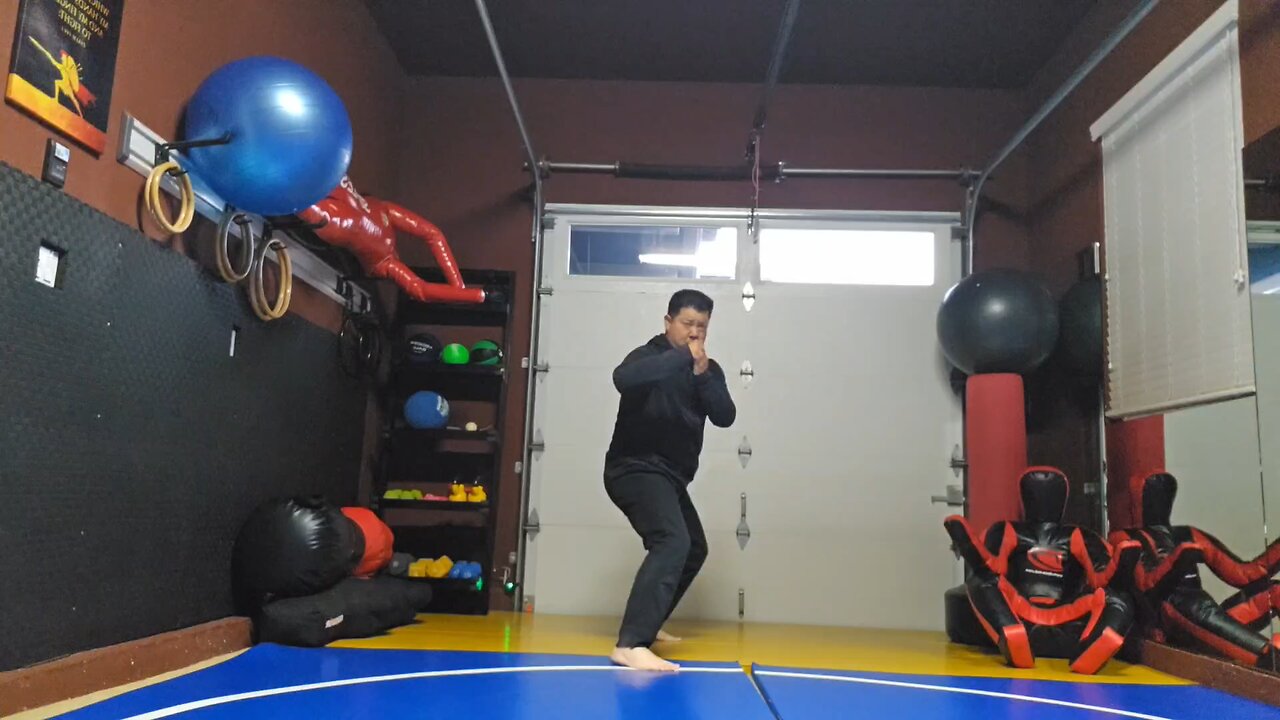 WTD Rear Side Kick to Lotus Kick sequential