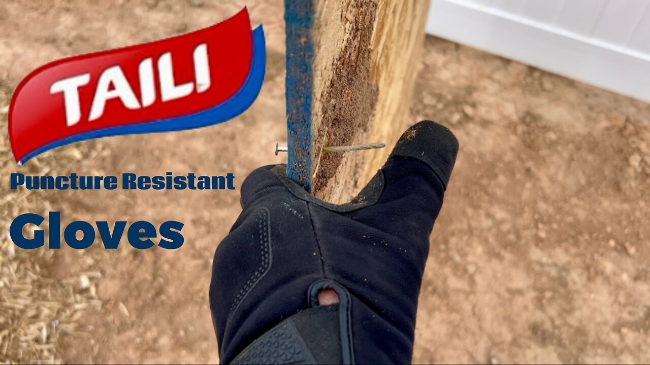 Taili Puncture Resistant Gloves