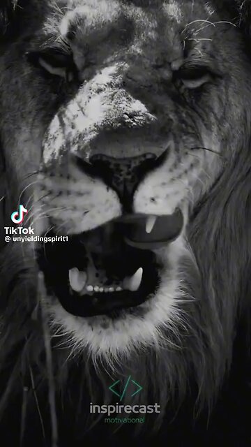 Learning the hard way