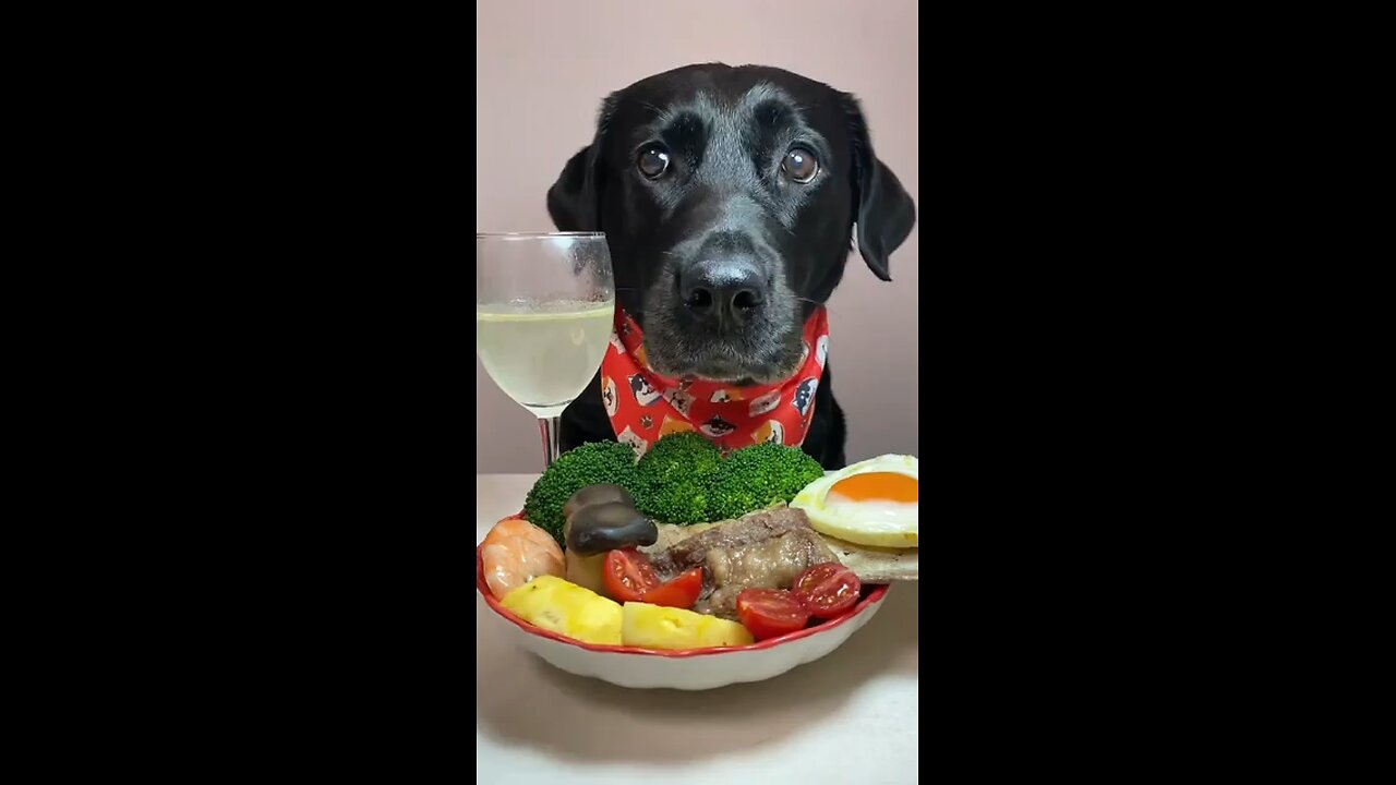 The food is too luxurious🥰