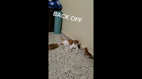 BACK OFF