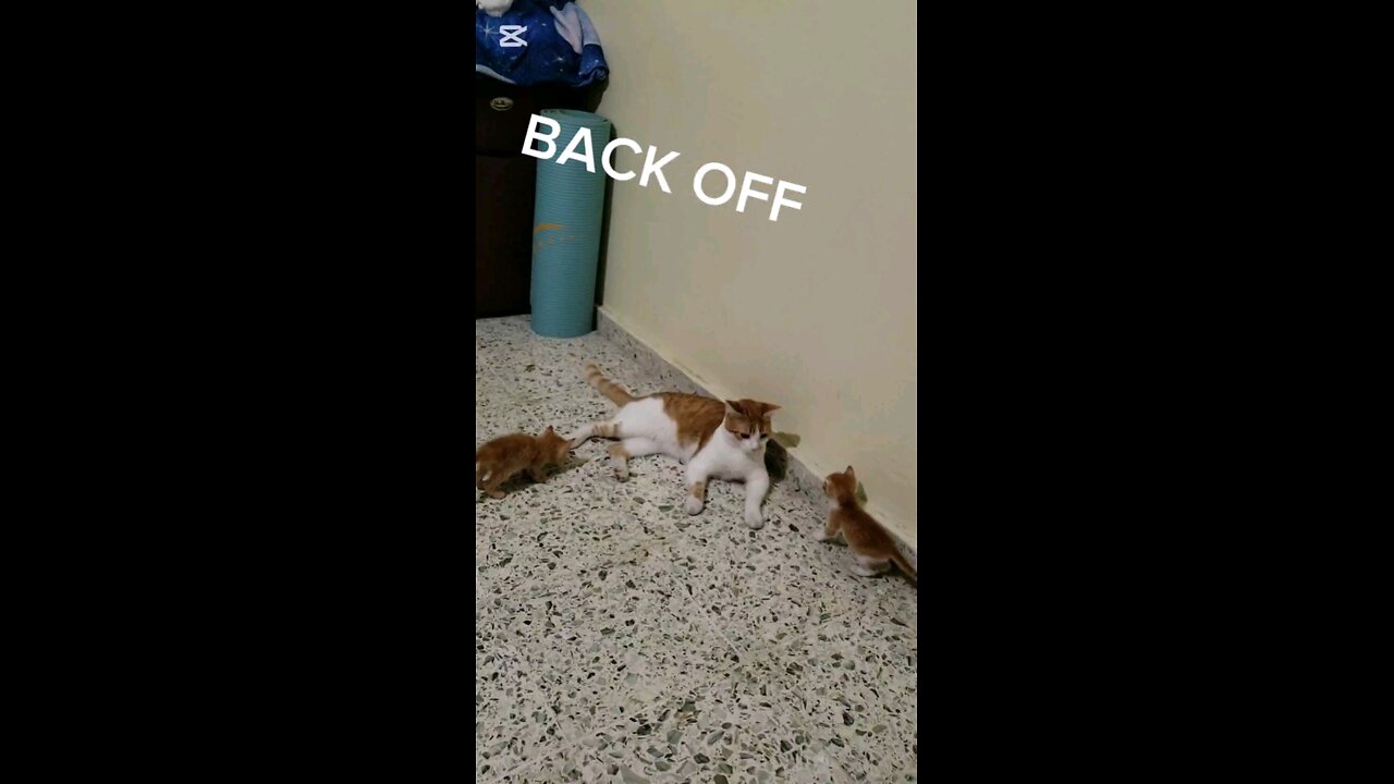 BACK OFF