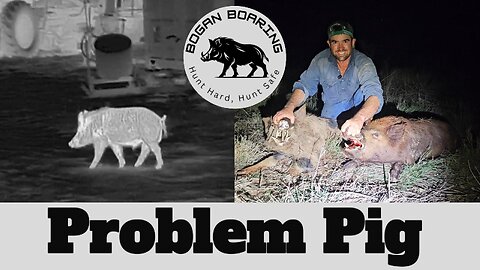 Problem pig