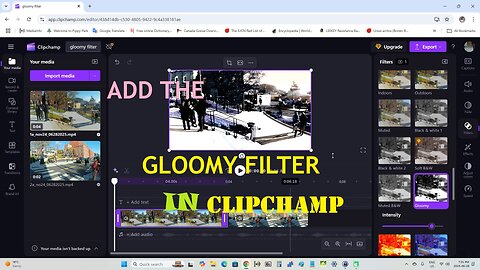 Add The Gloomy Filter In Clipchamp