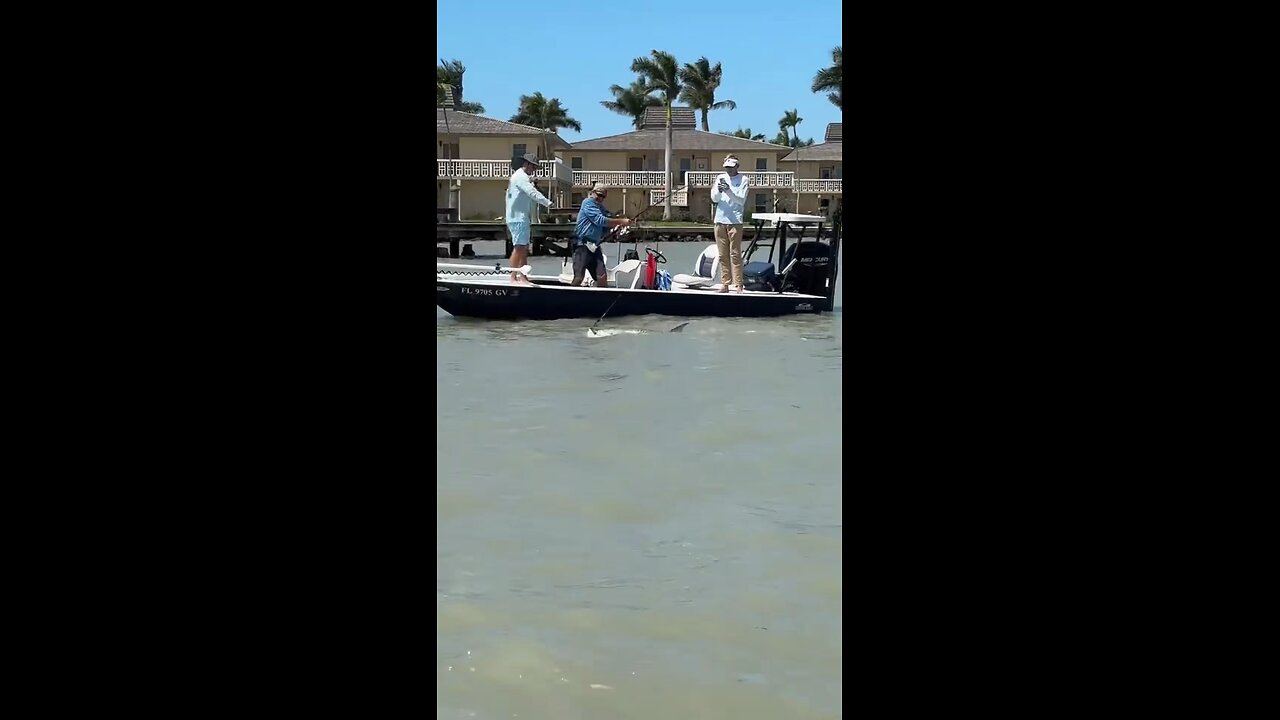 Livestream Highlights | Tarpon Catch & Successful Release!