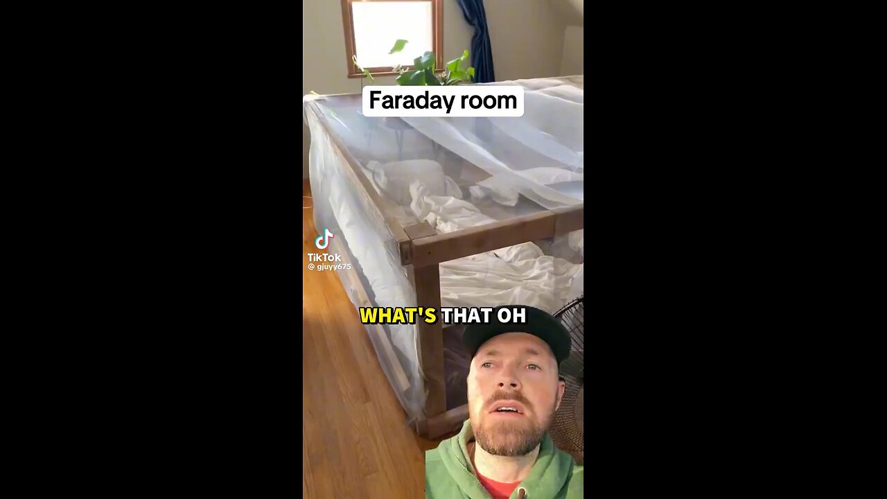 People That Have Made Faraday Rooms Report On How Their Minds React Differently When Exiting It