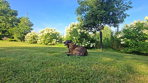 July GARDENS TOUR! // Whitt Acres