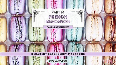 🍇French Macaron Baking Adventures, Part 14: Decadent Blackberry Macarons