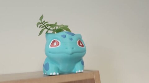 Naše kancelář s Pokémonama / Our Pokémon-filled Office [CZ/EN]