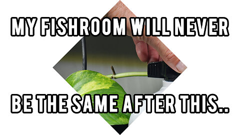 I made water changes even easier!