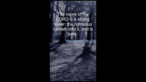 Proverbs 18:10