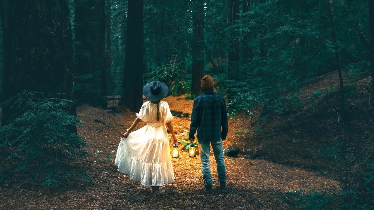 Beautiful Christmas music, "Good King Wenceslas" Christmas in the Redwood Forest"