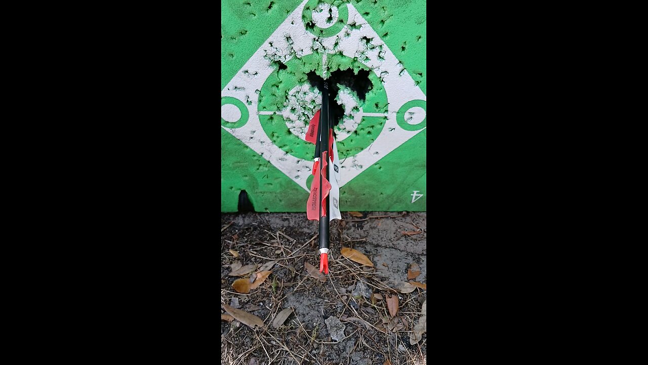 3 shots 3 bullseyes tight group... with Bear Legit maxx...