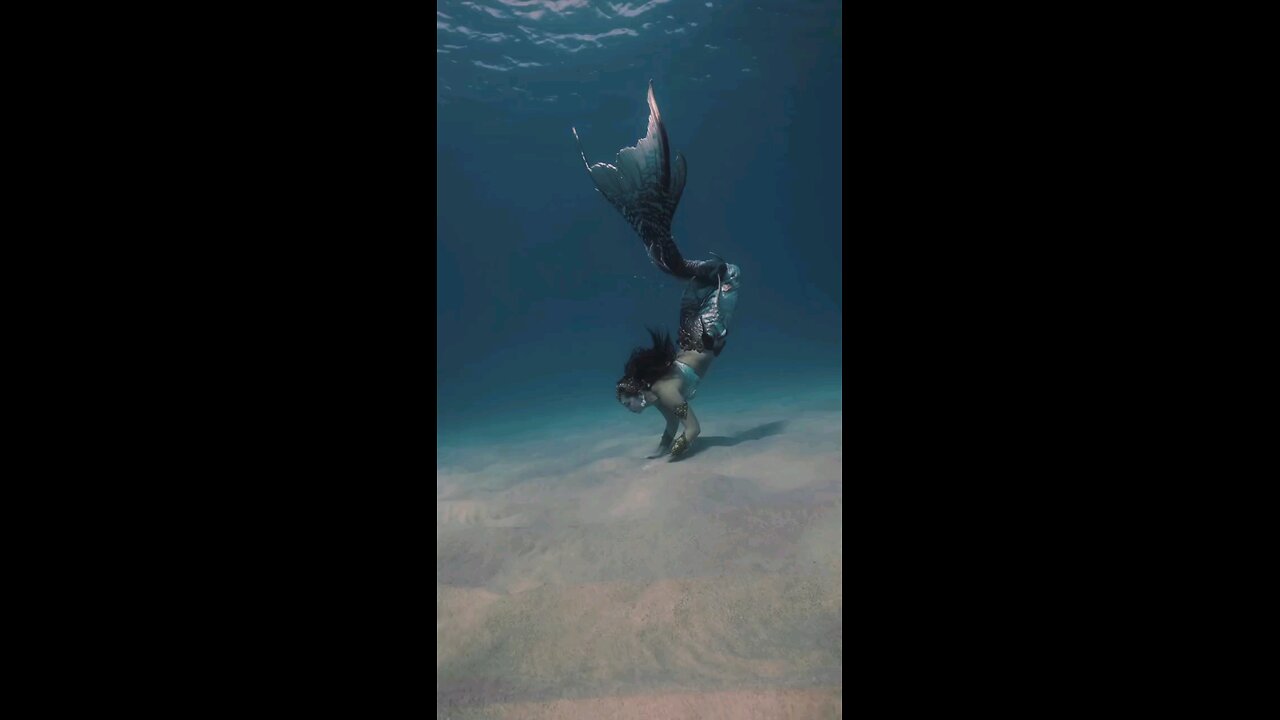 Jalpri video