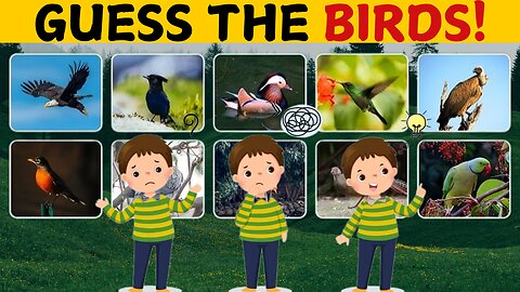 GUESS THE BIRDS QUIZ 2025 – Can You Name Them All?