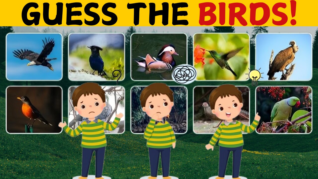GUESS THE BIRDS QUIZ 2025 – Can You Name Them All?