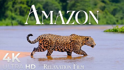 Amazon 4K • Rainforest Hidden Nature Gems & Deep Calming Music | Relaxation Film