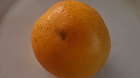 The Entire Orange: The Original SUPERFOOD