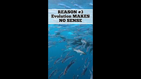 Why Evolution Doesn’t Make Sense