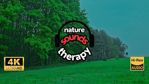 Birds, Rain, Forest & Field – Natural Relaxation