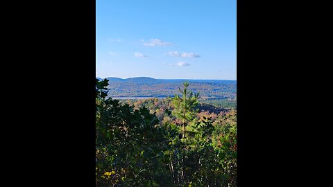 Thompson Center 45 cal Percussion