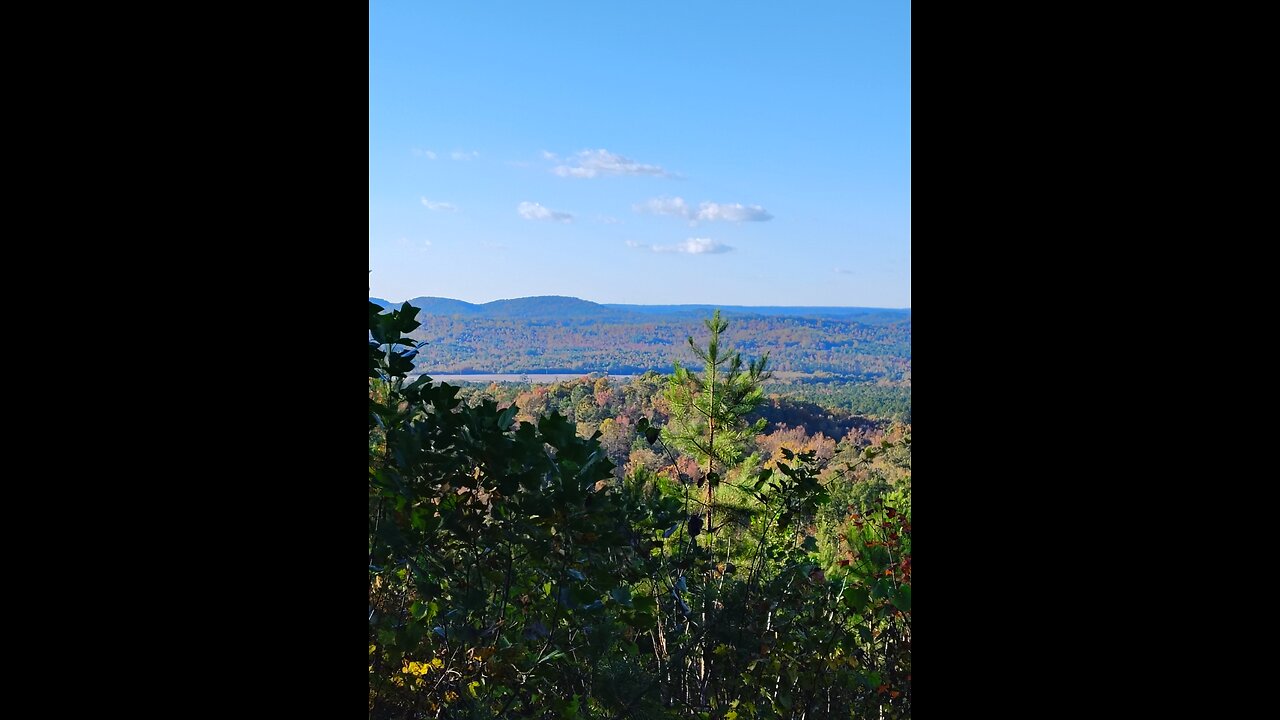 Thompson Center 45 cal Percussion