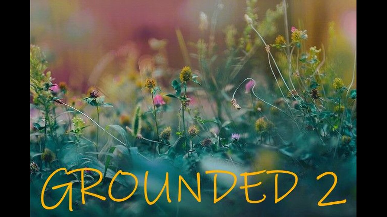 Grounded 2 Part 5 With Commentary