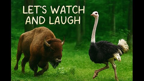 Wild Chase: Ostrich vs Bull in the Forest