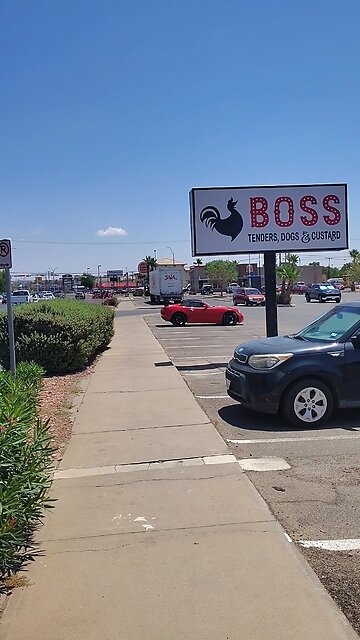 Boss Tenders Dogs Custard in El Paso Texas does not care about your health