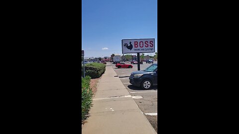 Boss Tenders Dogs Custard in El Paso Texas does not care about your health