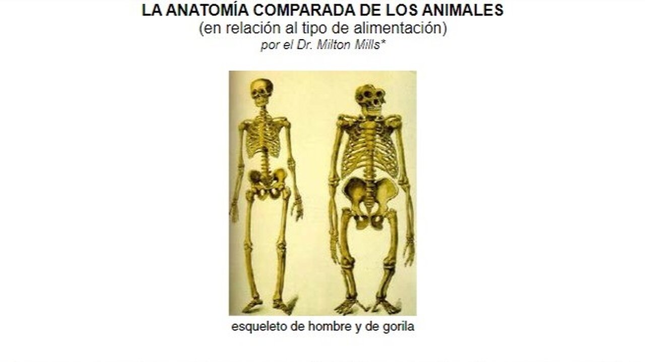 THE COMPARATIVE ANATOMY OF ANIMALS