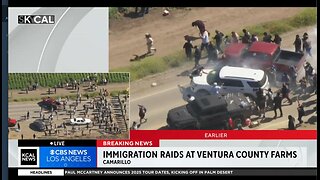 Immigration Raids - Search warrants & Arrest made at cannabis farms in Ventura